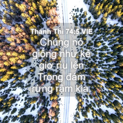 Picture 04 - Thánh Thi 74:5 VIE - Chúng nó giống như kẻ giơ rìu lên Trong - Bible Verse Picture