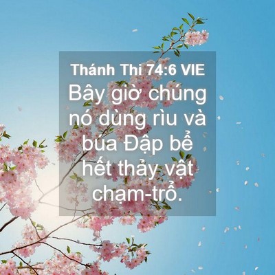 Picture 04 - Thánh Thi 74:6 VIE - Bây giờ chúng nó dùng rìu và búa Đập - Bible Verse Picture