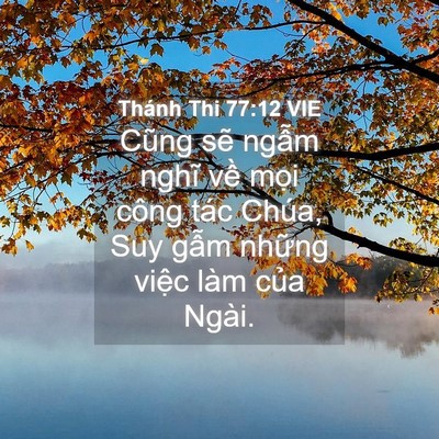Picture 04 - Thánh Thi 77:12 VIE - Cũng sẽ ngẫm nghĩ về mọi công tác - Bible Verse Picture