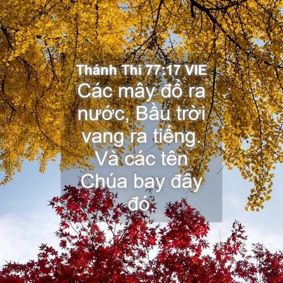 Picture 04 - Thánh Thi 77:17 VIE - Các mây đổ ra nước, Bầu trời vang ra - Bible Verse Picture