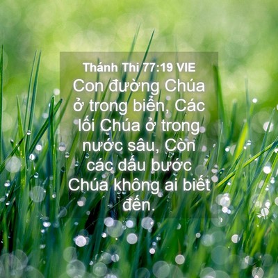 Picture 04 - Thánh Thi 77:19 VIE - Con đường Chúa ở trong biển, Các lối - Bible Verse Picture