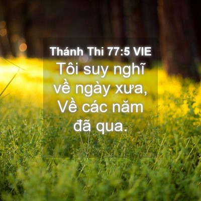 Picture 04 - Thánh Thi 77:5 VIE - Tôi suy nghĩ về ngày xưa, Về các năm - Bible Verse Picture