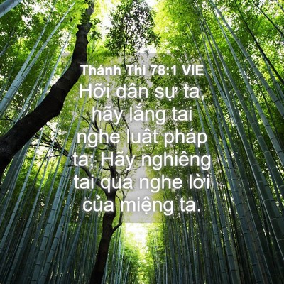 Picture 04 - Thánh Thi 78:1 VIE - Hỡi dân sự ta, hãy lắng tai nghe luật - Bible Verse Picture