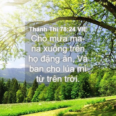 Picture 04 - Thánh Thi 78:24 VIE - Cho mưa ma-na xuống trên họ đặng ăn, - Bible Verse Picture