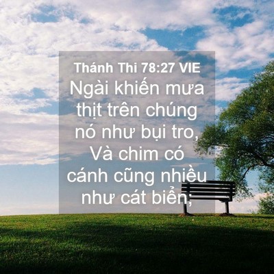 Picture 04 - Thánh Thi 78:27 VIE - Ngài khiến mưa thịt trên chúng nó như - Bible Verse Picture
