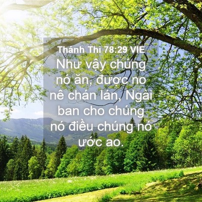 Picture 04 - Thánh Thi 78:29 VIE - Như vậy chúng nó ăn, được no nê chán - Bible Verse Picture