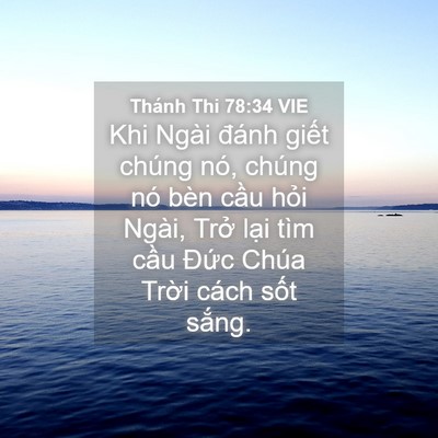 Picture 04 - Thánh Thi 78:34 VIE - Khi Ngài đánh giết chúng nó, chúng nó - Bible Verse Picture