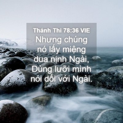 Picture 04 - Thánh Thi 78:36 VIE - Nhưng chúng nó lấy miệng dua nịnh Ngài, - Bible Verse Picture