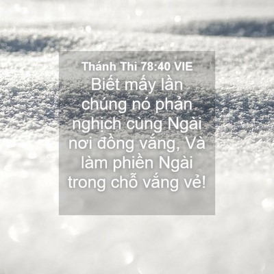 Picture 04 - Thánh Thi 78:40 VIE - Biết mấy lần chúng nó phản nghịch - Bible Verse Picture