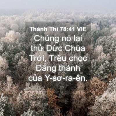 Picture 04 - Thánh Thi 78:41 VIE - Chúng nó lại thử Đức Chúa Trời, Trêu - Bible Verse Picture