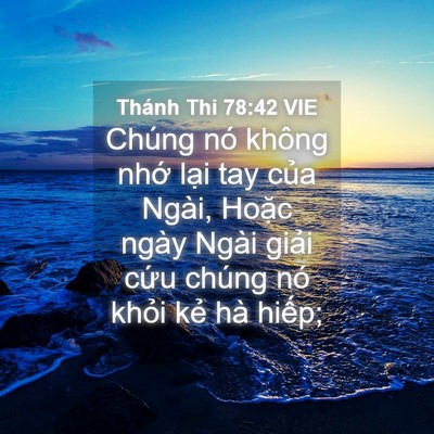 Picture 04 - Thánh Thi 78:42 VIE - Chúng nó không nhớ lại tay của Ngài, - Bible Verse Picture
