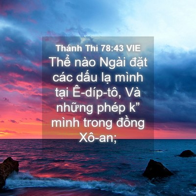 Picture 04 - Thánh Thi 78:43 VIE - Thể nào Ngài đặt các dấu lạ mình - Bible Verse Picture