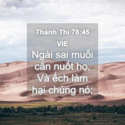 Picture 04 - Thánh Thi 78:45 VIE - Ngài sai muỗi cắn nuốt họ, Và ếch - Bible Verse Picture