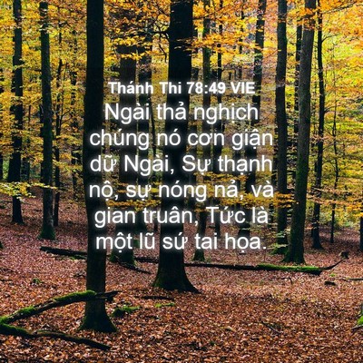 Picture 04 - Thánh Thi 78:49 VIE - Ngài thả nghịch chúng nó cơn giận dữ - Bible Verse Picture