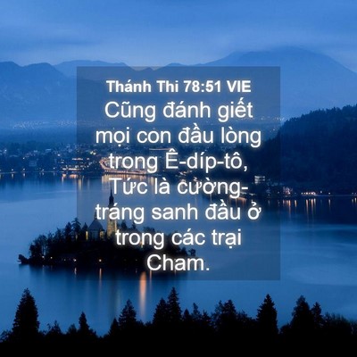 Picture 04 - Thánh Thi 78:51 VIE - Cũng đánh giết mọi con đầu lòng trong - Bible Verse Picture