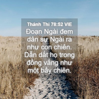 Picture 04 - Thánh Thi 78:52 VIE - Đoạn Ngài đem dân sự Ngài ra như con - Bible Verse Picture