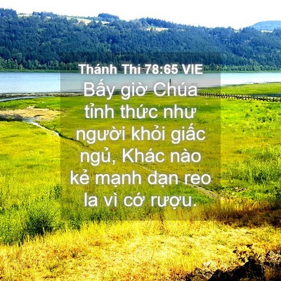 Picture 04 - Thánh Thi 78:65 VIE - Bấy giờ Chúa tỉnh thức như người - Bible Verse Picture