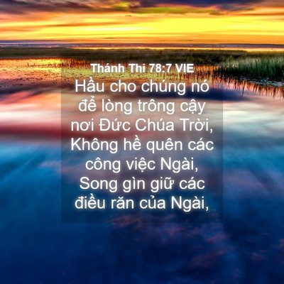 Picture 04 - Thánh Thi 78:7 VIE - Hầu cho chúng nó để lòng trông cậy - Bible Verse Picture
