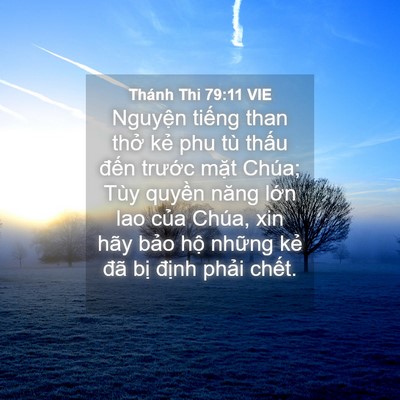 Picture 04 - Thánh Thi 79:11 VIE - Nguyện tiếng than thở kẻ phu tù thấu - Bible Verse Picture