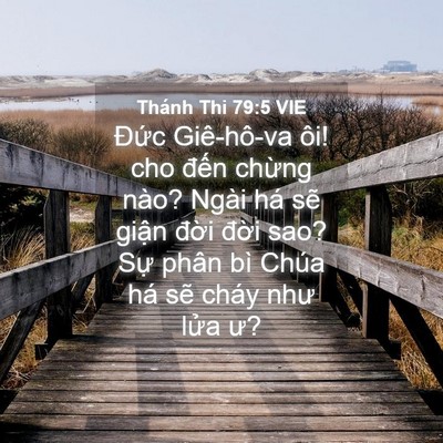 Picture 04 - Thánh Thi 79:5 VIE - Đức Giê-hô-va ôi! cho đến chừng nào? - Bible Verse Picture