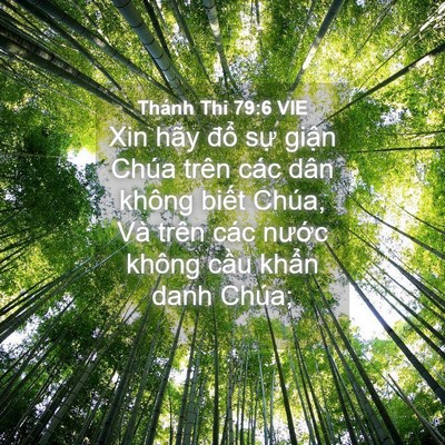 Picture 04 - Thánh Thi 79:6 VIE - Xin hãy đổ sự giận Chúa trên các dân - Bible Verse Picture