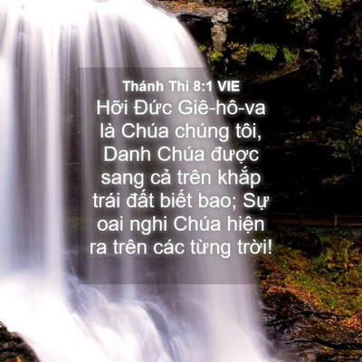 Picture 04 - Thánh Thi 8:1 VIE - Hỡi Đức Giê-hô-va là Chúa chúng tôi, - Bible Verse Picture