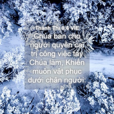 Picture 04 - Thánh Thi 8:6 VIE - Chúa ban cho người quyền cai trị công - Bible Verse Picture