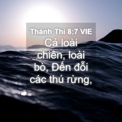 Picture 04 - Thánh Thi 8:7 VIE - Cả loài chiên, loài bò, Đến đỗi các - Bible Verse Picture
