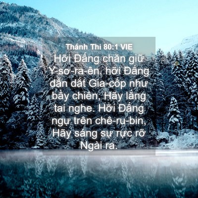 Picture 04 - Thánh Thi 80:1 VIE - Hỡi Đấng chăn giữ Y-sơ-ra-ên, hỡi - Bible Verse Picture