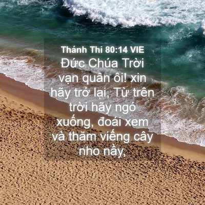 Picture 04 - Thánh Thi 80:14 VIE - Đức Chúa Trời vạn quân ôi! xin hãy - Bible Verse Picture