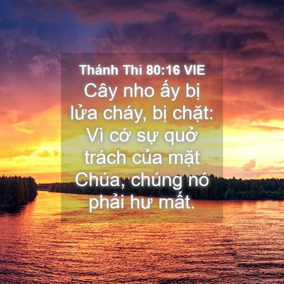 Picture 04 - Thánh Thi 80:16 VIE - Cây nho ấy bị lửa cháy, bị chặt: Vì - Bible Verse Picture