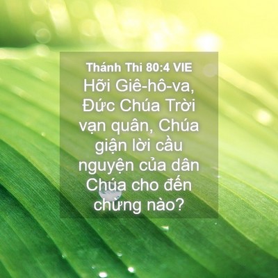 Picture 04 - Thánh Thi 80:4 VIE - Hỡi Giê-hô-va, Đức Chúa Trời vạn - Bible Verse Picture