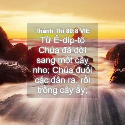 Picture 04 - Thánh Thi 80:8 VIE - Từ Ê-díp-tô Chúa đã dời sang một cây - Bible Verse Picture