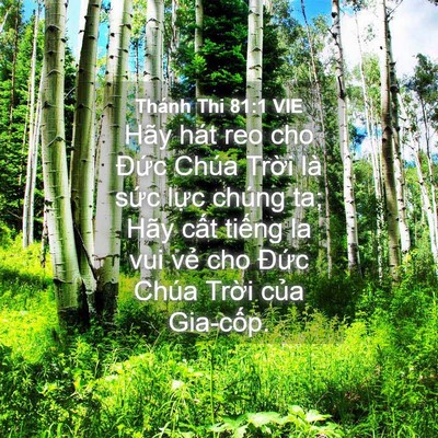 Picture 04 - Thánh Thi 81:1 VIE - Hãy hát reo cho Đức Chúa Trời là sức - Bible Verse Picture