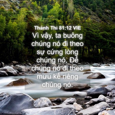 Picture 04 - Thánh Thi 81:12 VIE - Vì vậy, ta buông chúng nó đi theo sự - Bible Verse Picture