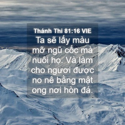 Picture 04 - Thánh Thi 81:16 VIE - Ta sẽ lấy màu mỡ ngũ cốc mà nuôi - Bible Verse Picture