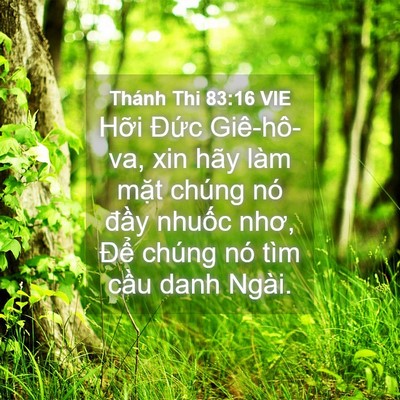 Picture 04 - Thánh Thi 83:16 VIE - Hỡi Đức Giê-hô-va, xin hãy làm mặt - Bible Verse Picture