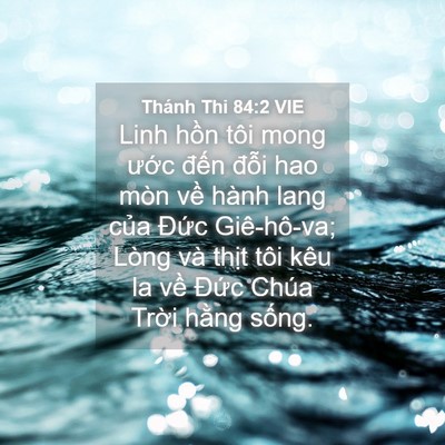 Picture 04 - Thánh Thi 84:2 VIE - Linh hồn tôi mong ước đến đỗi hao - Bible Verse Picture