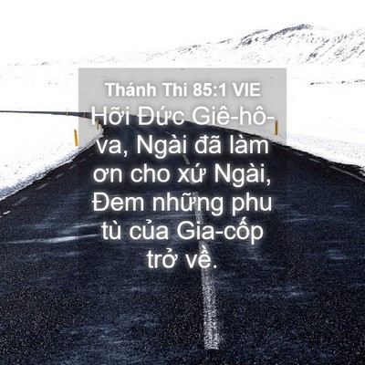 Picture 04 - Thánh Thi 85:1 VIE - Hỡi Đức Giê-hô-va, Ngài đã làm ơn cho - Bible Verse Picture