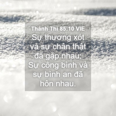 Picture 04 - Thánh Thi 85:10 VIE - Sự thương xót và sự chân thật đã - Bible Verse Picture