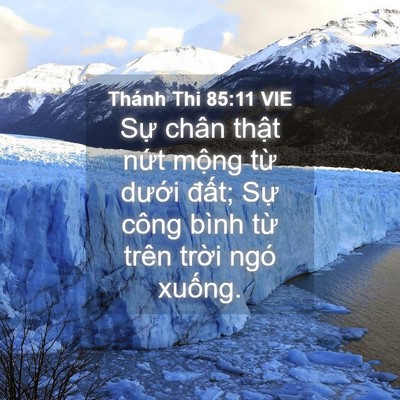Picture 04 - Thánh Thi 85:11 VIE - Sự chân thật nứt mộng từ dưới - Bible Verse Picture