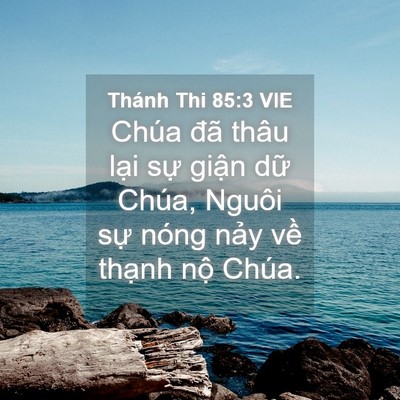 Picture 04 - Thánh Thi 85:3 VIE - Chúa đã thâu lại sự giận dữ Chúa, - Bible Verse Picture