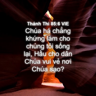 Picture 04 - Thánh Thi 85:6 VIE - Chúa há chẳng khứng làm cho chúng tôi - Bible Verse Picture