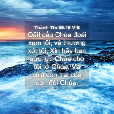 Picture 04 - Thánh Thi 86:16 VIE - Oâi! cầu Chúa đoái xem tôi, và thương - Bible Verse Picture