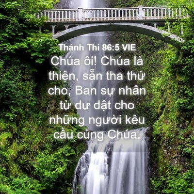 Picture 04 - Thánh Thi 86:5 VIE - Chúa ôi! Chúa là thiện, sẵn tha thứ - Bible Verse Picture