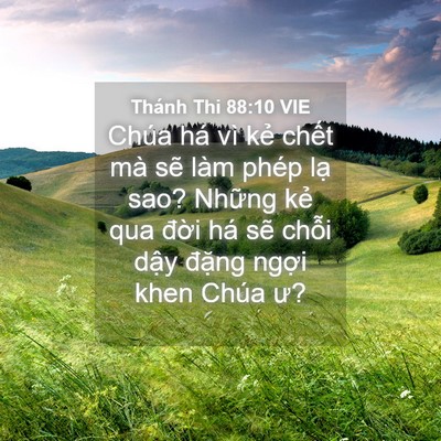 Picture 04 - Thánh Thi 88:10 VIE - Chúa há vì kẻ chết mà sẽ làm phép - Bible Verse Picture