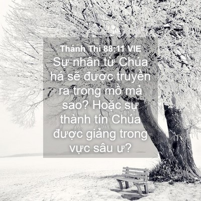 Picture 04 - Thánh Thi 88:11 VIE - Sự nhân từ Chúa há sẽ được truyền - Bible Verse Picture