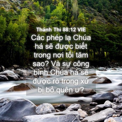 Picture 04 - Thánh Thi 88:12 VIE - Các phép lạ Chúa há sẽ được biết - Bible Verse Picture