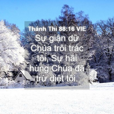 Picture 04 - Thánh Thi 88:16 VIE - Sự giận dữ Chúa trôi trác tôi, Sự - Bible Verse Picture