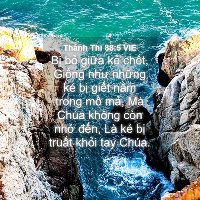 Picture 04 - Thánh Thi 88:5 VIE - Bị bỏ giữa kẻ chết, Giống như - Bible Verse Picture